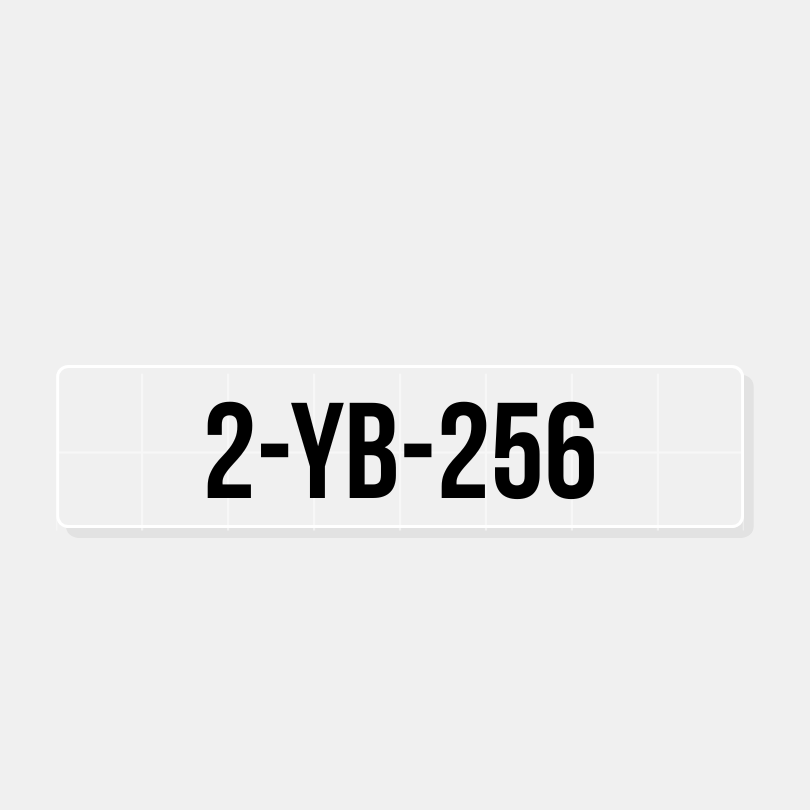 Boot registratie (type 1)